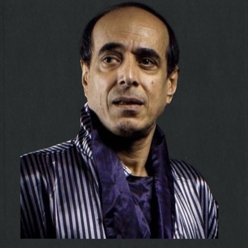 ناصر شاهين