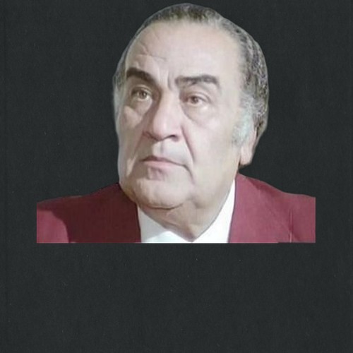 نظيم شعراوي