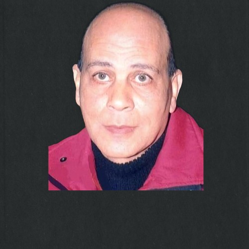 سيد عزمي