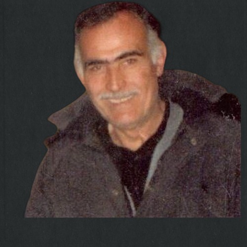 شفيق محمود