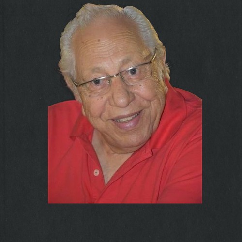 شفيق الشايب