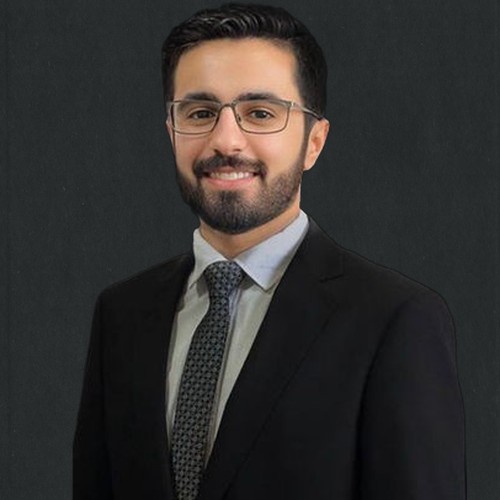 شاهين الشاهين