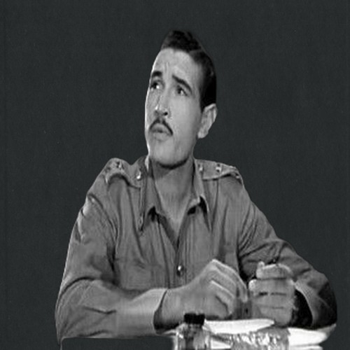 شريف حمودة