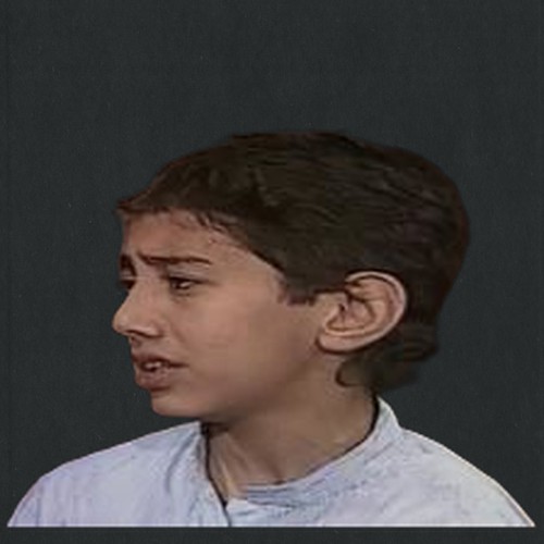 وائل عقيد