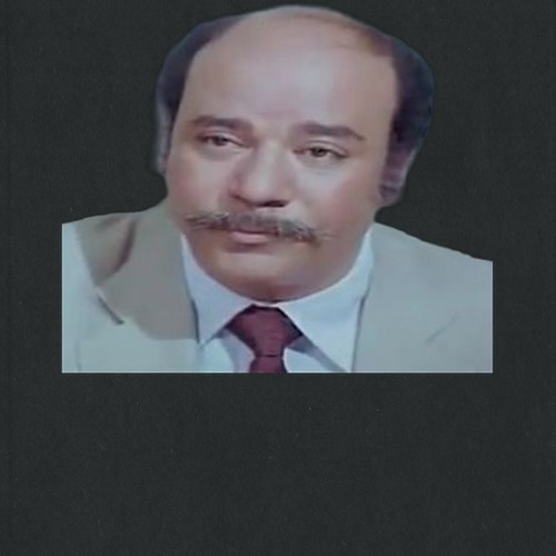 وفيق فهمي