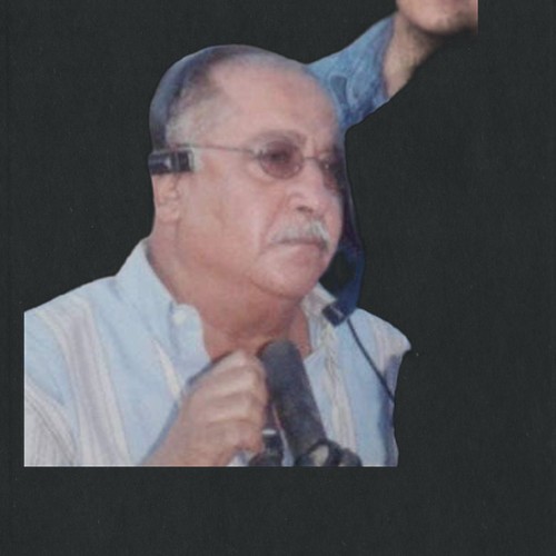 وجيه الشناوي