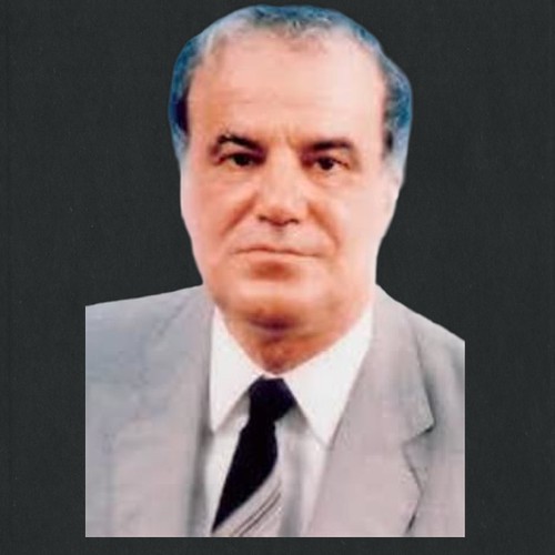 وجيه رضوان