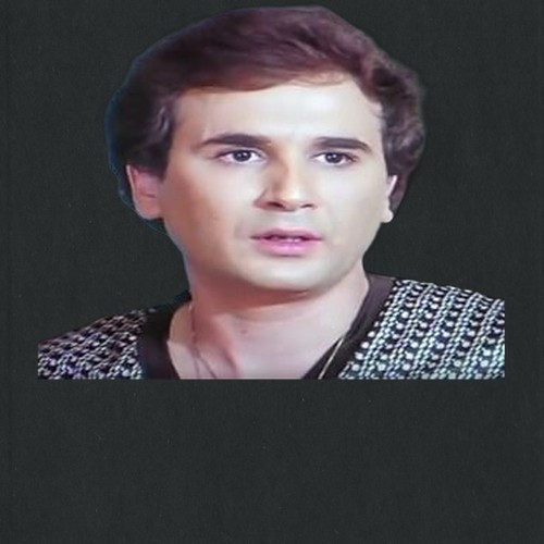 وجدي العربي