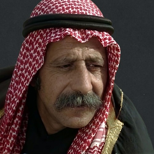 زهير حسن
