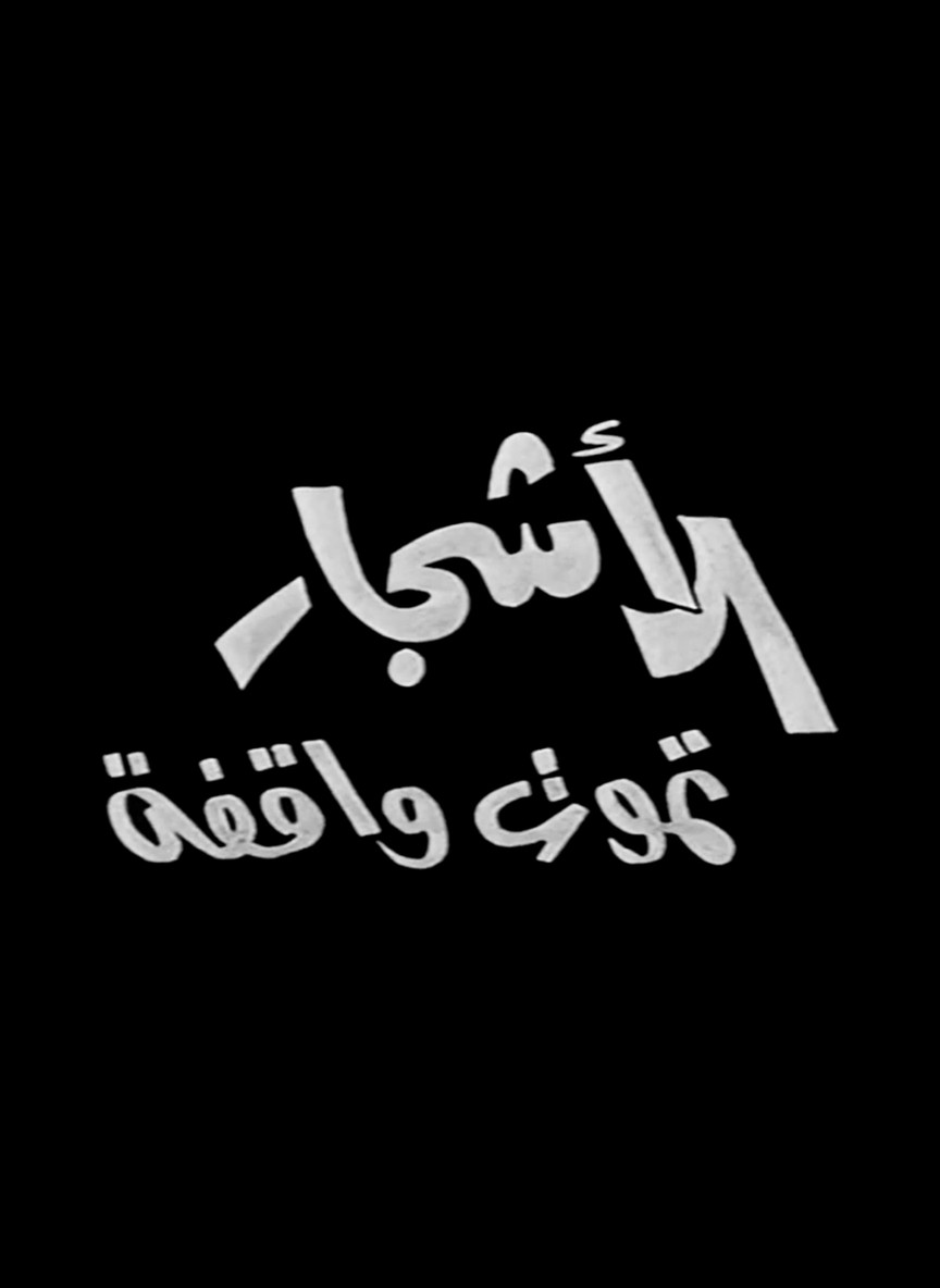 الأشجار تموت واقفة