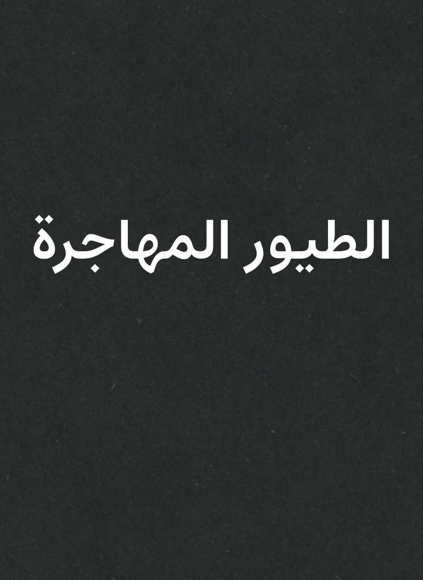 الطيور المهاجرة