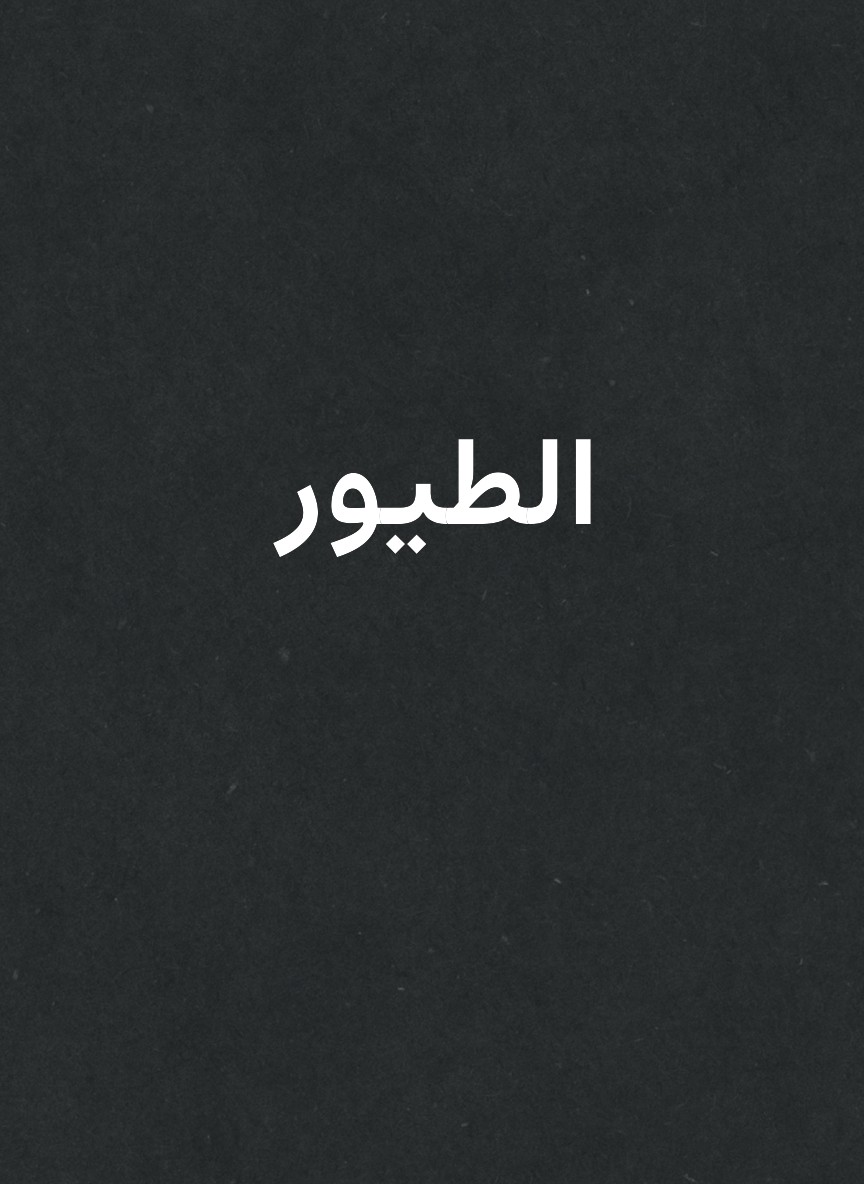 الطيور