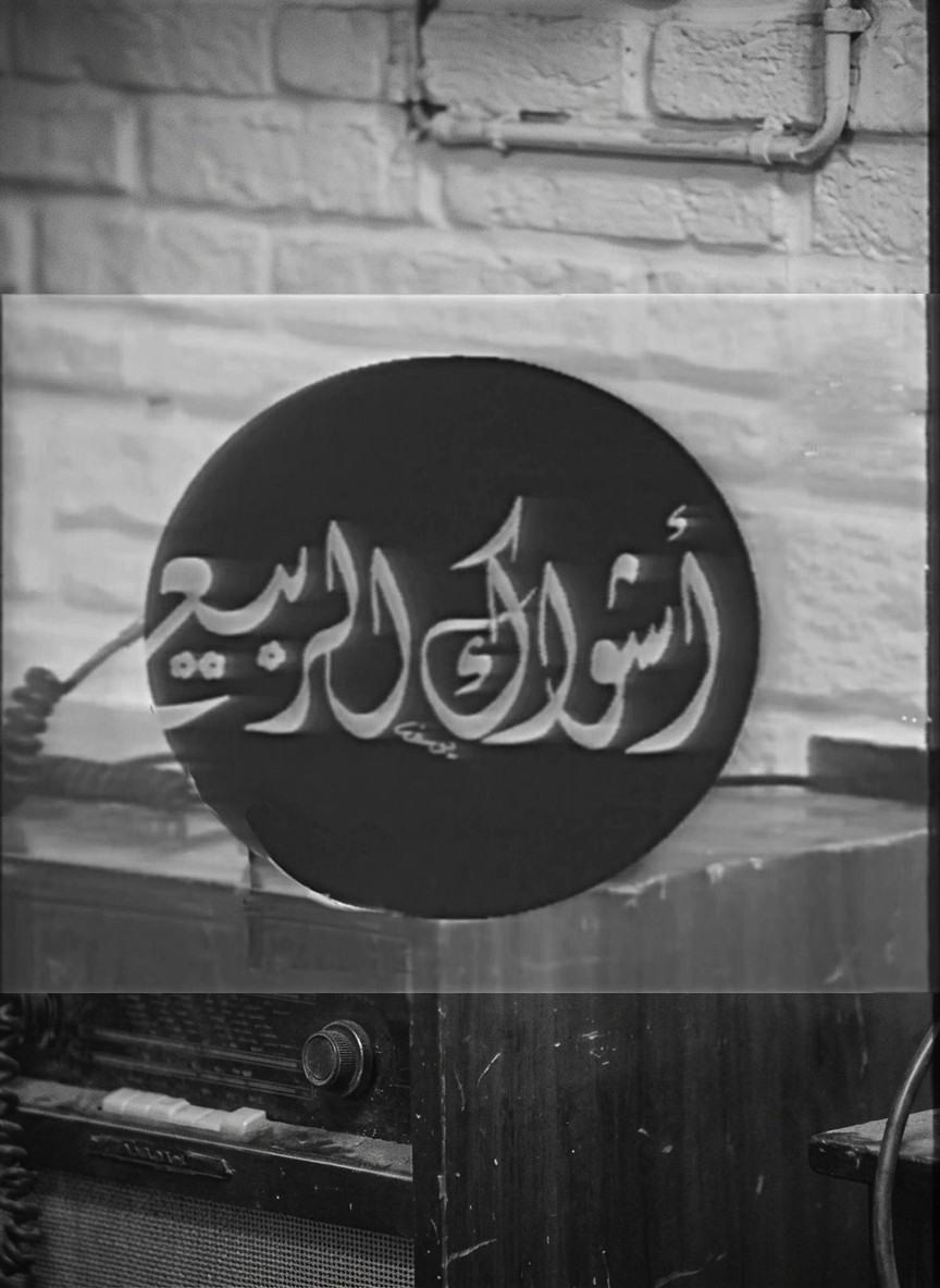 أشواك الربيع