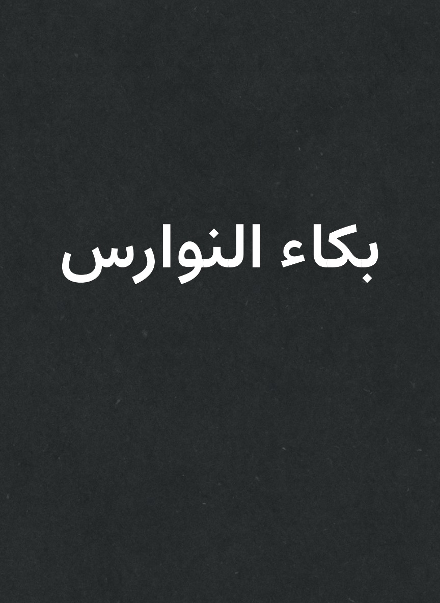 بكاء النوارس