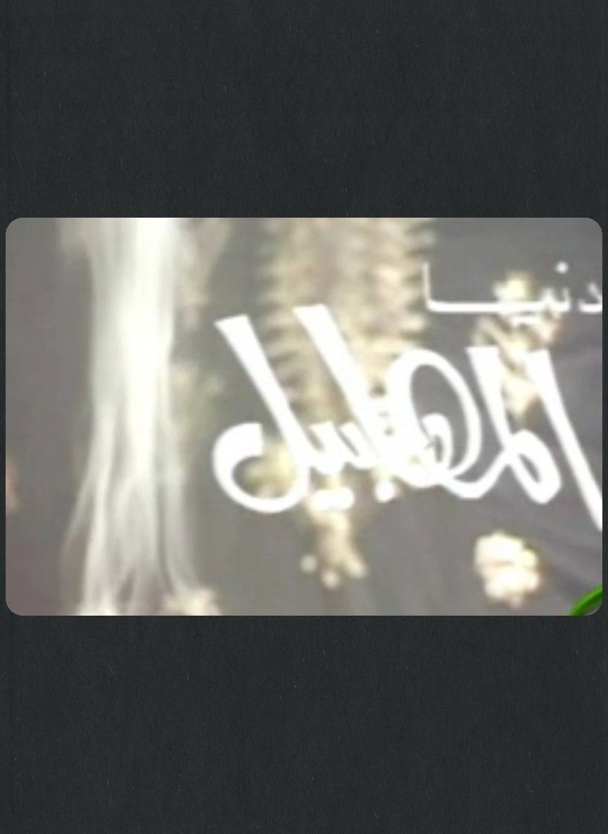 دنيا المهابيل