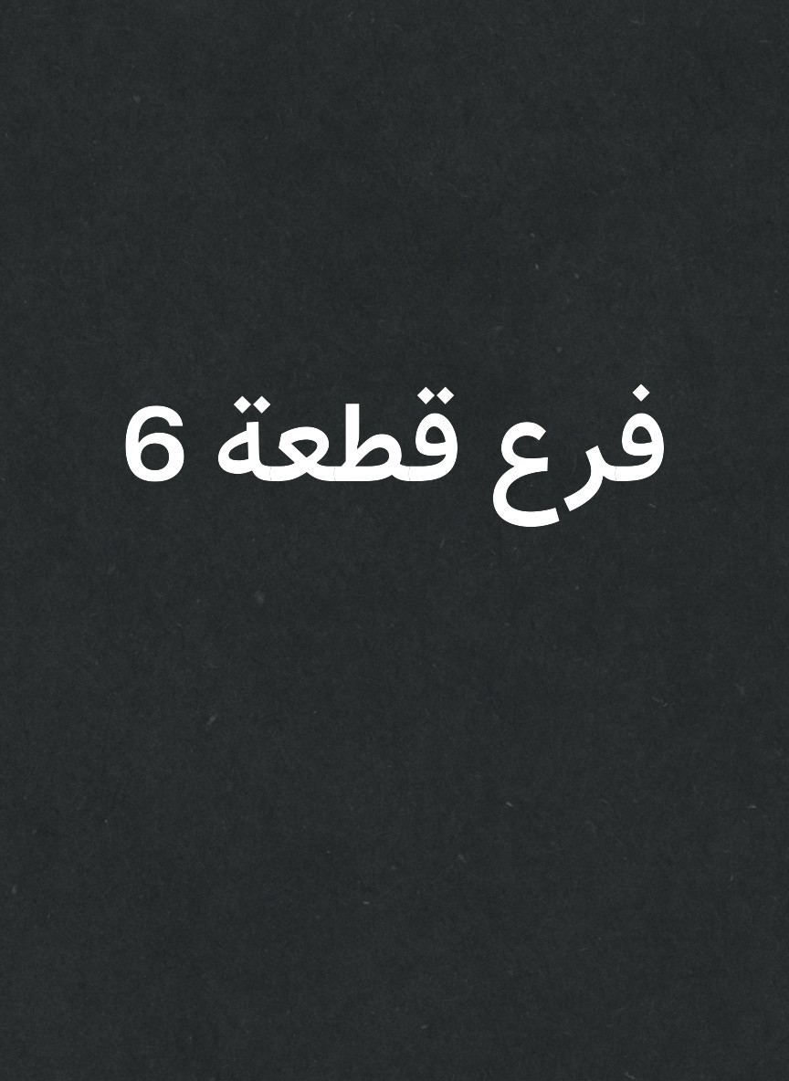 فرع قطعة 6