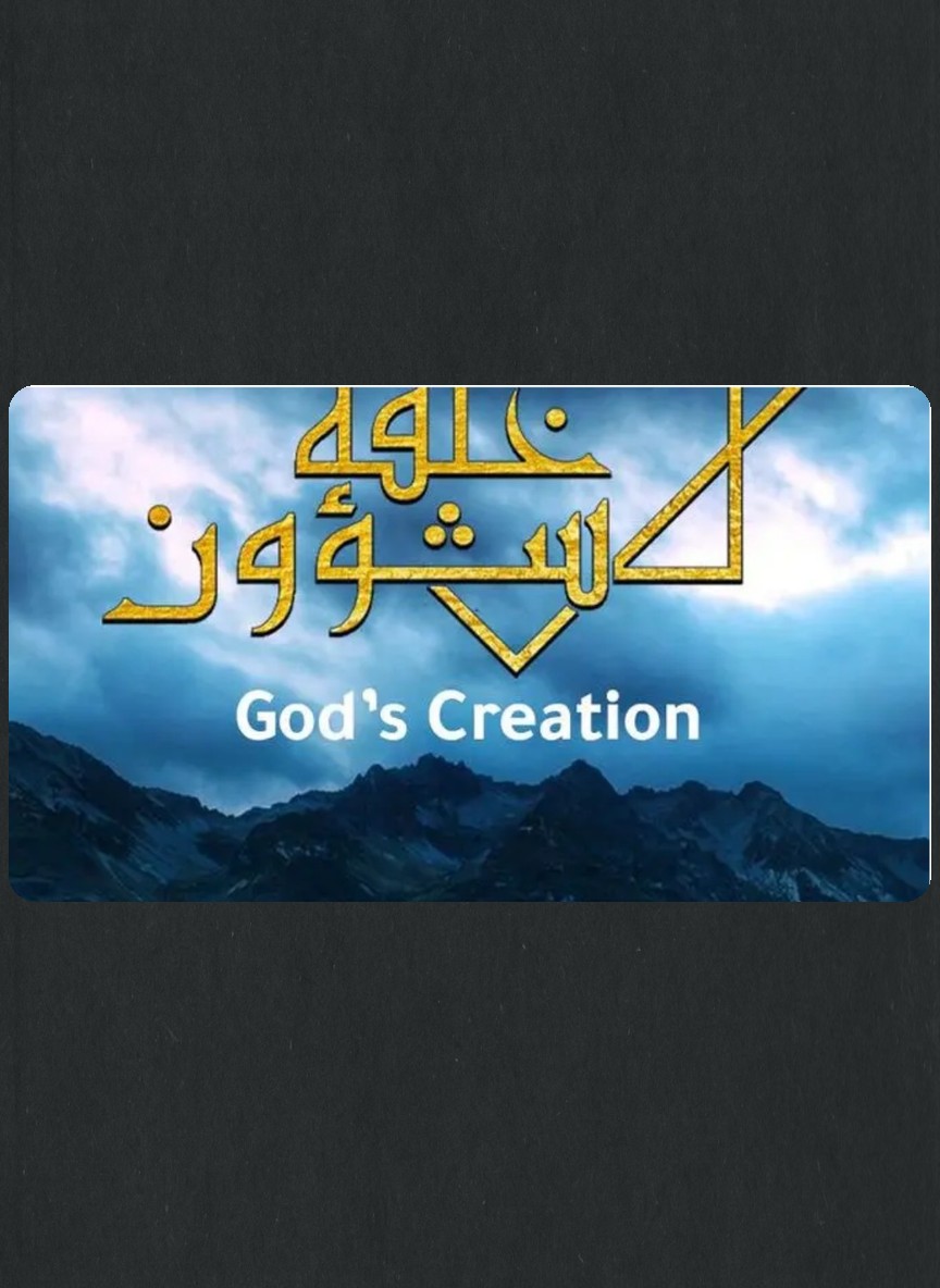 في خلقه شئون