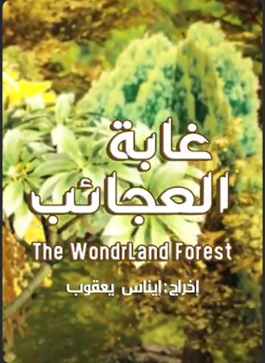 غابة العجائب