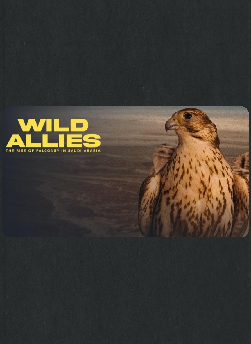 Wild Allies