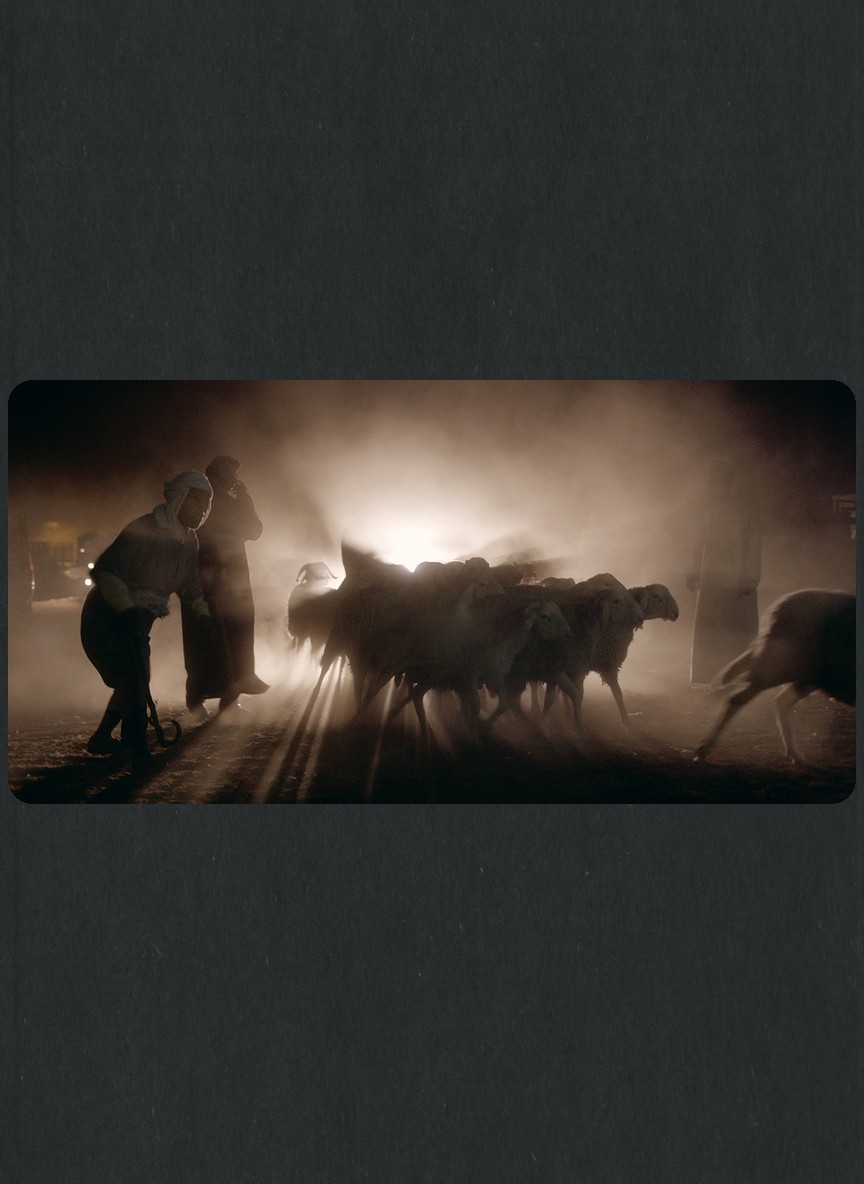 Of Sheep and Men