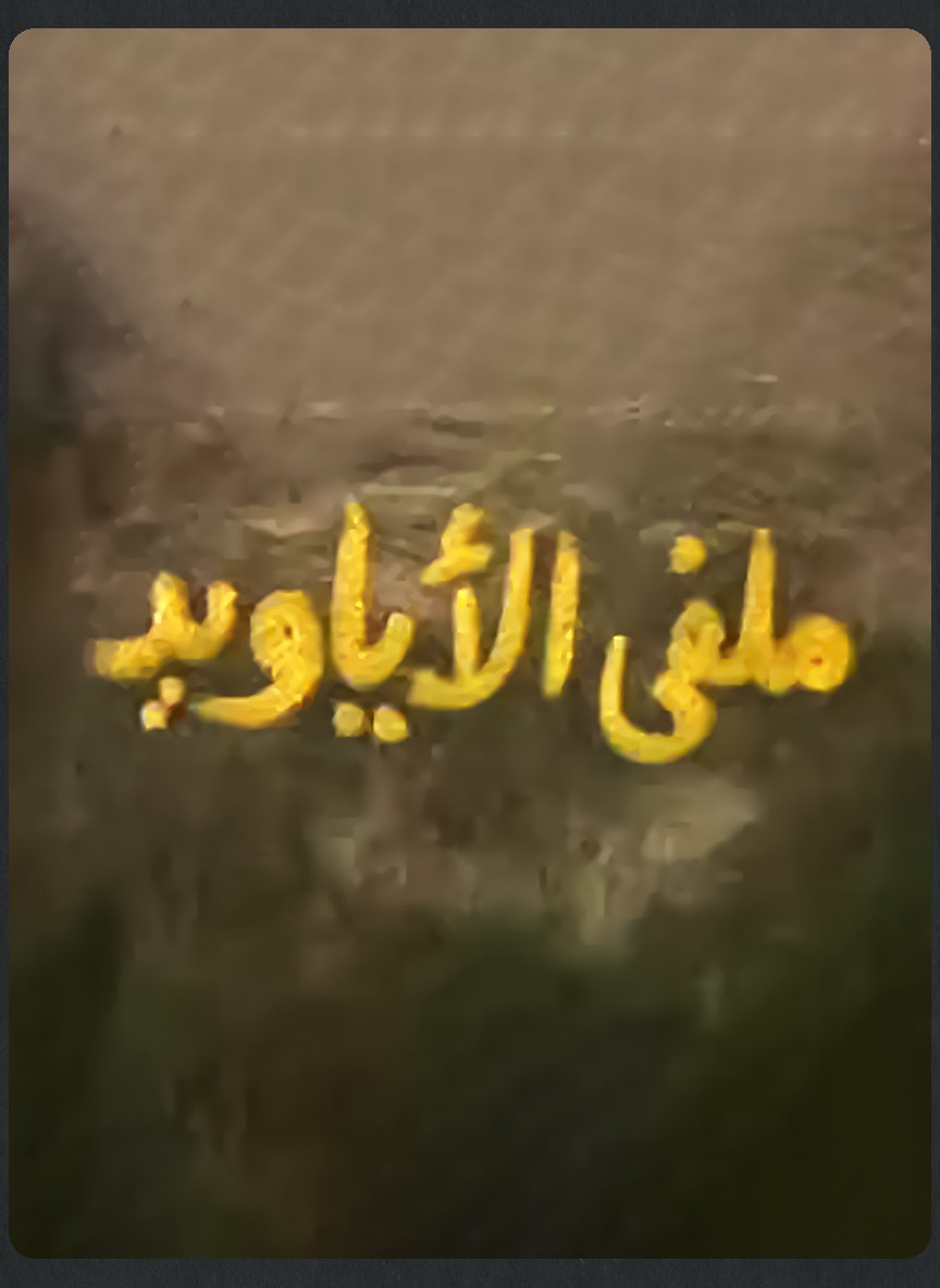 ملفى الأياويد