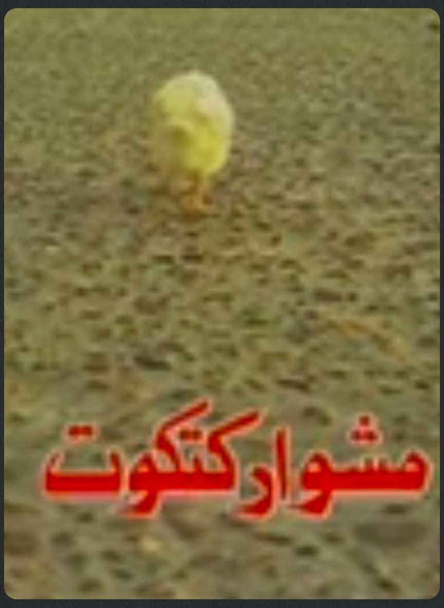 مشوار كتكوت