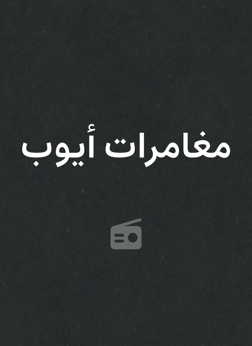مغامرات أيوب
