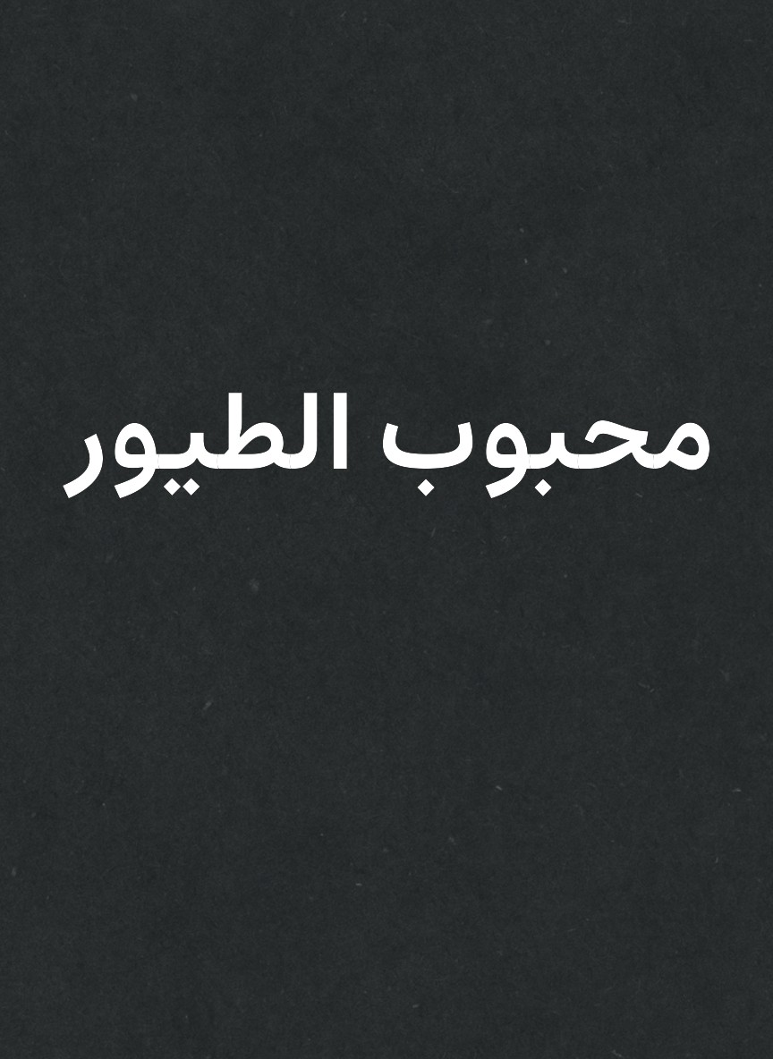 محبوب الطيور