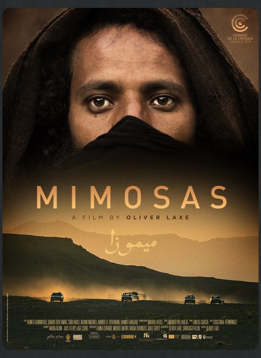 ميموزا