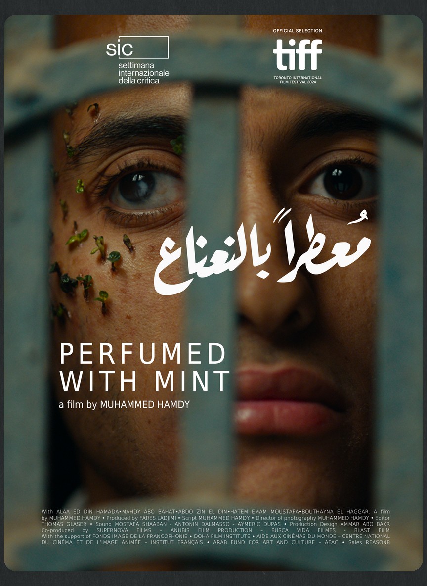 معطرا بالنعناع