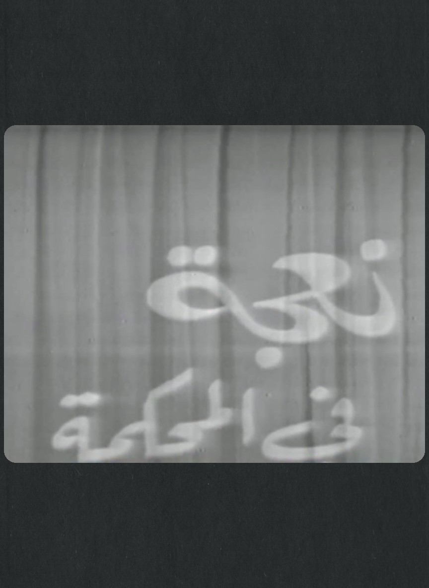 نعجة في المحكمة