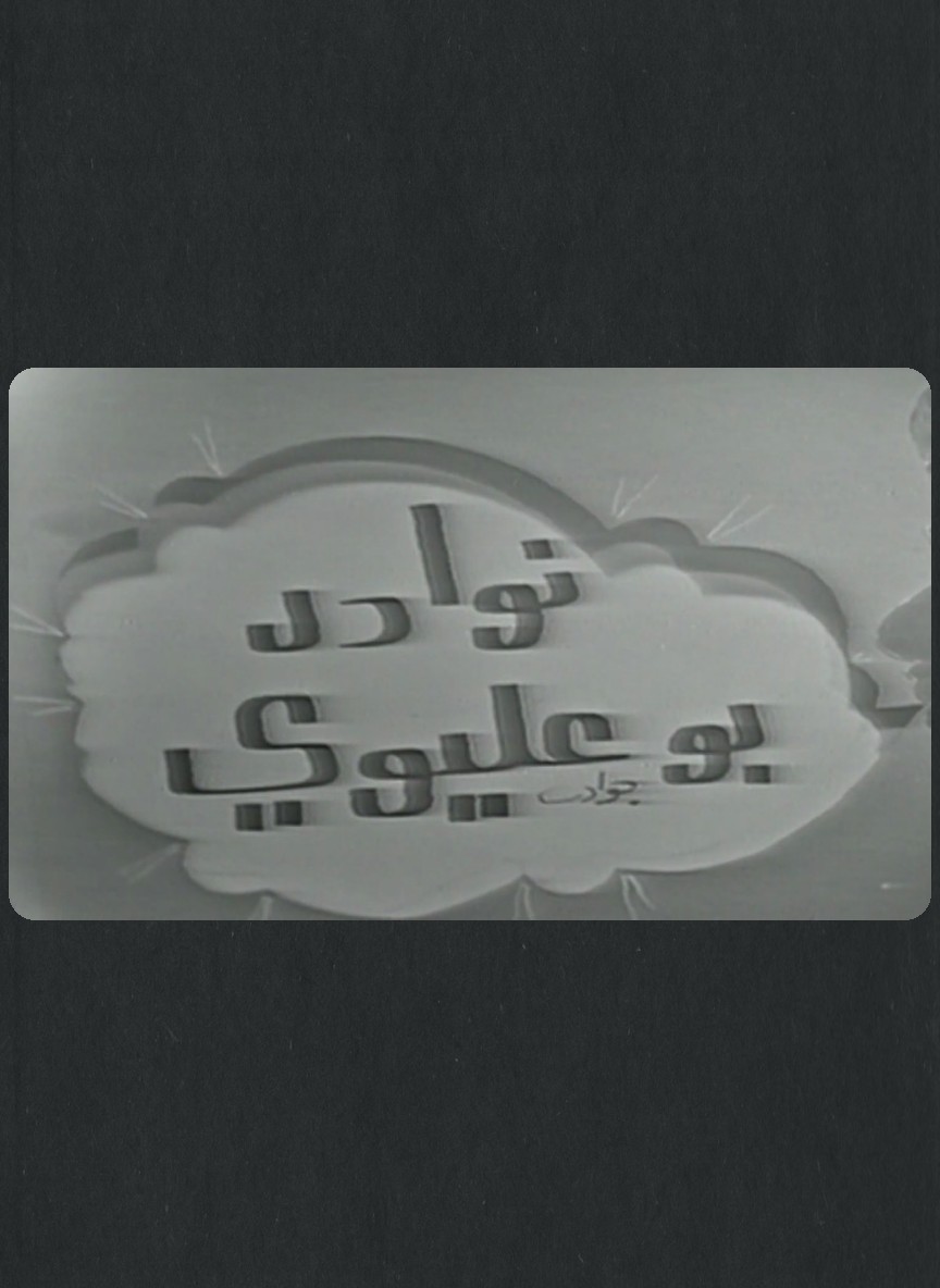 نوادر بو عليوي