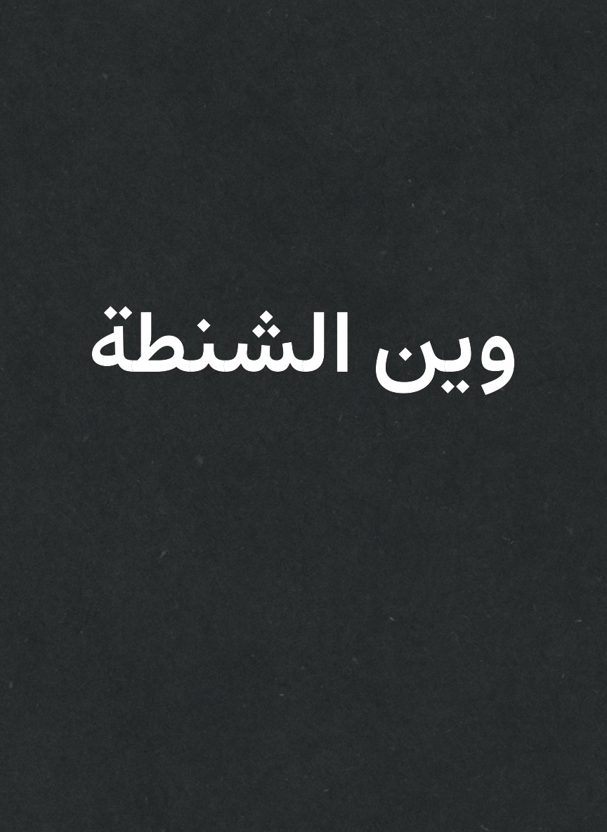وين الشنطة